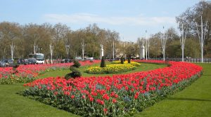 Green Parks fleurs