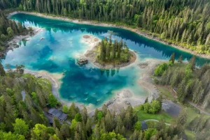 lac Cauma