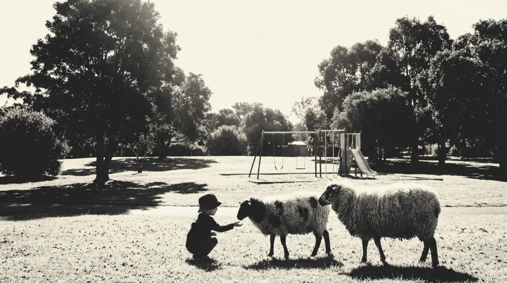 Parc des Gondoles - La ferme gratuite et avis [2026]