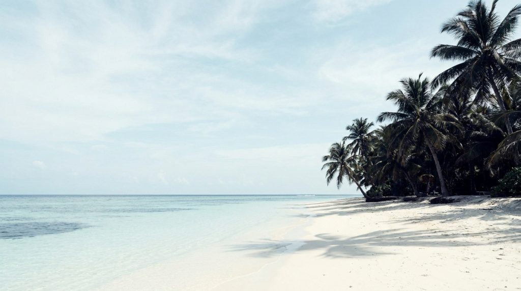 Ile paradisiaque | Top guide 2026 pour vos vacances - Avis