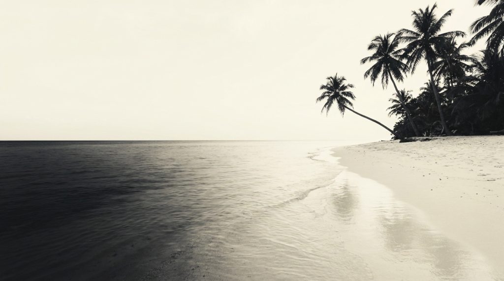 Iles paradisiaque | Top guide pour vos vacances 2026